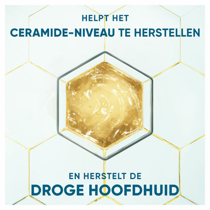 Head & Shoulders Anti-roos Shampoo DERMAxPRO Revitaliseert 250 ml