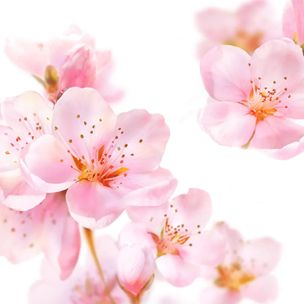 Kneipp Badolie Soft Skin Amandelbloesem 100 ml - K Drogerie